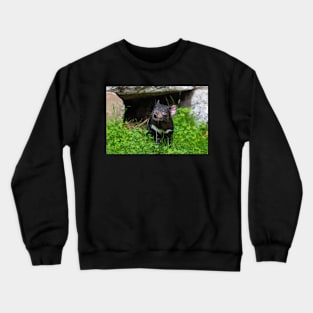 Tasmanian Devil Crewneck Sweatshirt